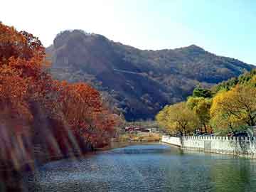 大三巴一肖二码最准，食堂快餐桌